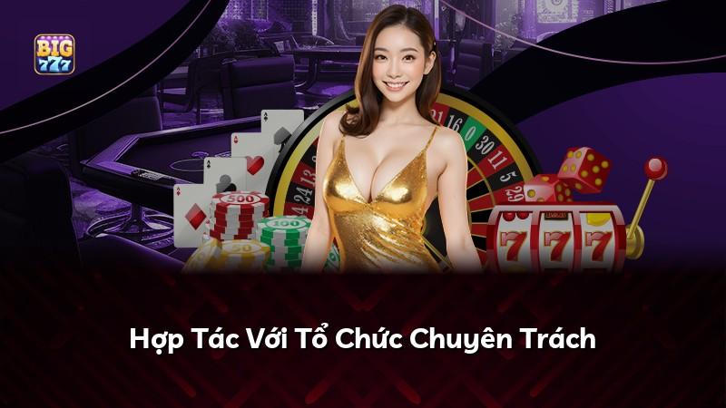 Hợp Tác Với Tổ Chức Chuyên Trách