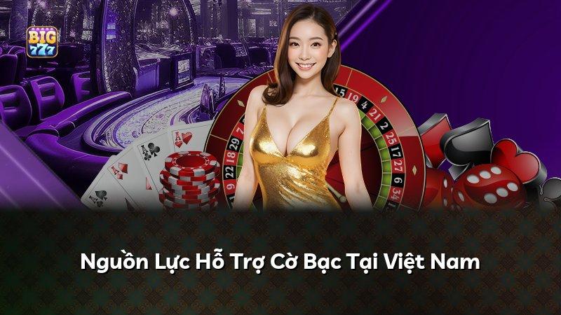 Nguồn Lực Hỗ Trợ Cờ Bạc Tại Việt Nam