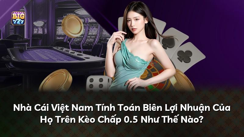 Nhà Cái Việt Nam Tính Toán Biên Lợi Nhuận Của Họ Trên Kèo Chấp 0.5 Như Thế Nào?