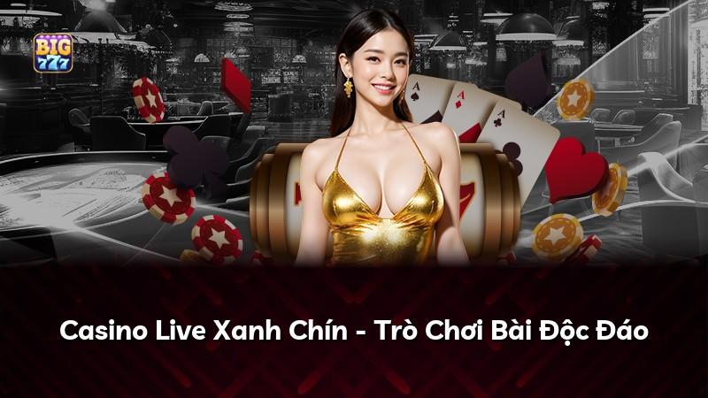 Casino Live Xanh Chín - Trò Chơi Bài Độc Đáo